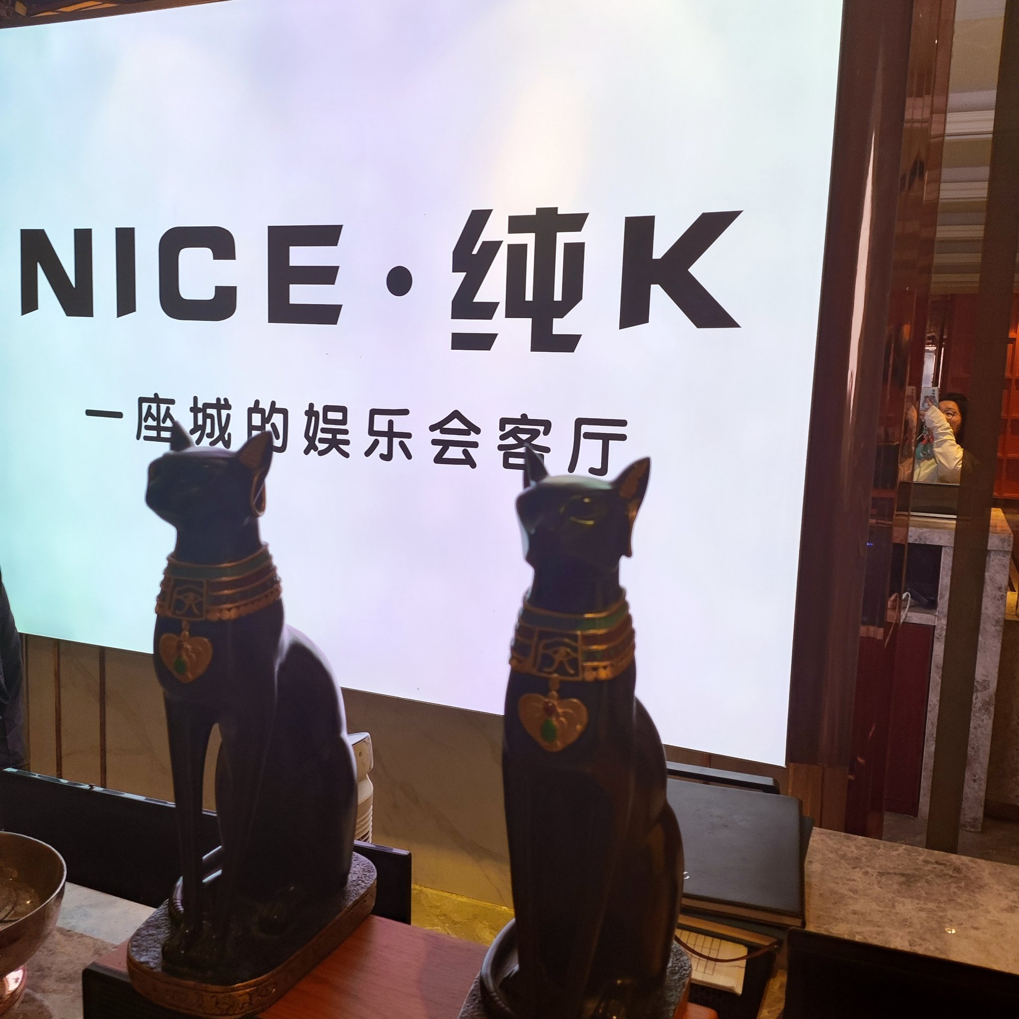 了解一下：商务ktv是怎么回事呢？-大观区ktv预定